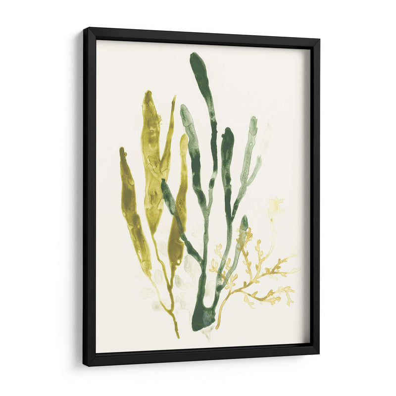 Colección Kelp I - June Erica Vess | Cuadro decorativo de Canvas Lab