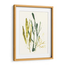 Colección Kelp I - June Erica Vess | Cuadro decorativo de Canvas Lab