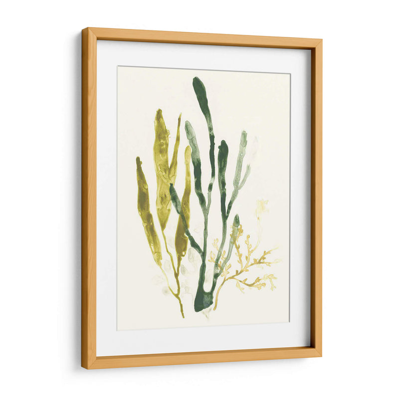 Colección Kelp I - June Erica Vess | Cuadro decorativo de Canvas Lab
