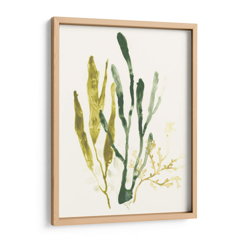 Colección Kelp I - June Erica Vess | Cuadro decorativo de Canvas Lab