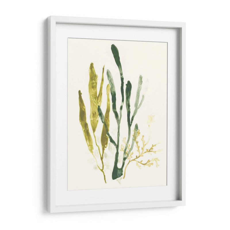 Colección Kelp I - June Erica Vess | Cuadro decorativo de Canvas Lab
