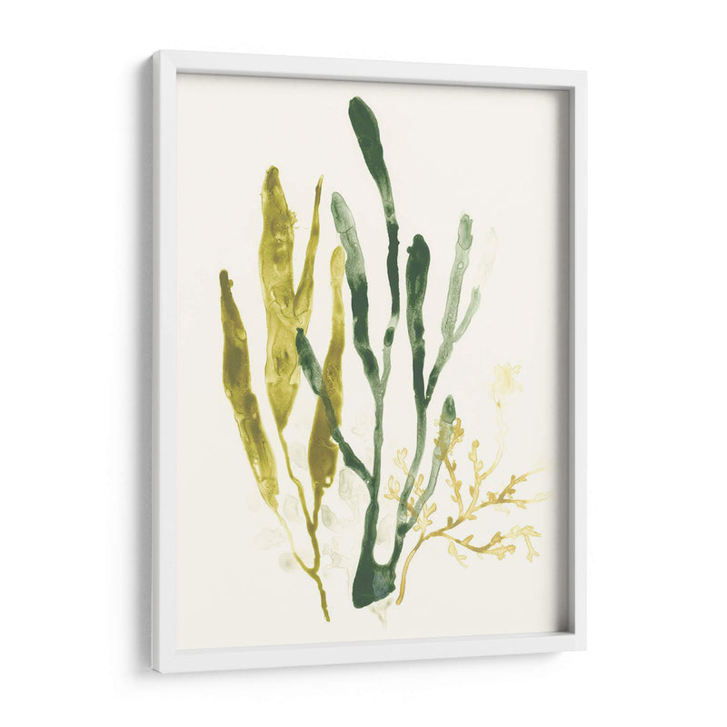 Colección Kelp I - June Erica Vess | Cuadro decorativo de Canvas Lab