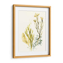 Colección Kelp Ii - June Erica Vess | Cuadro decorativo de Canvas Lab