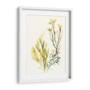 Colección Kelp Ii - June Erica Vess | Cuadro decorativo de Canvas Lab