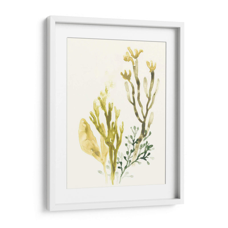 Colección Kelp Ii - June Erica Vess | Cuadro decorativo de Canvas Lab