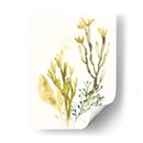 Colección Kelp Ii - June Erica Vess | Cuadro decorativo de Canvas Lab