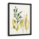 Colección Kelp Iii - June Erica Vess | Cuadro decorativo de Canvas Lab
