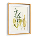 Colección Kelp Iii - June Erica Vess | Cuadro decorativo de Canvas Lab