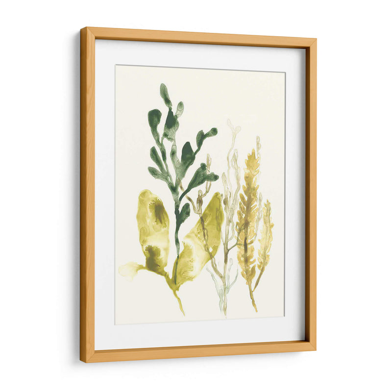 Colección Kelp Iii - June Erica Vess | Cuadro decorativo de Canvas Lab