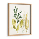 Colección Kelp Iii - June Erica Vess | Cuadro decorativo de Canvas Lab