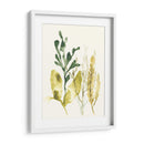 Colección Kelp Iii - June Erica Vess | Cuadro decorativo de Canvas Lab