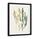 Colección Kelp Iv - June Erica Vess | Cuadro decorativo de Canvas Lab