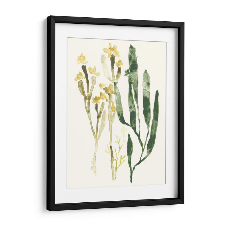 Colección Kelp Iv - June Erica Vess | Cuadro decorativo de Canvas Lab