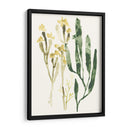 Colección Kelp Iv - June Erica Vess | Cuadro decorativo de Canvas Lab