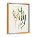 Colección Kelp Iv - June Erica Vess | Cuadro decorativo de Canvas Lab