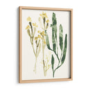 Colección Kelp Iv - June Erica Vess | Cuadro decorativo de Canvas Lab