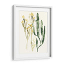 Colección Kelp Iv - June Erica Vess | Cuadro decorativo de Canvas Lab