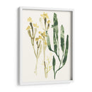 Colección Kelp Iv - June Erica Vess | Cuadro decorativo de Canvas Lab