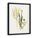 Colección Kelp V - June Erica Vess | Cuadro decorativo de Canvas Lab