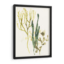 Colección Kelp V - June Erica Vess | Cuadro decorativo de Canvas Lab