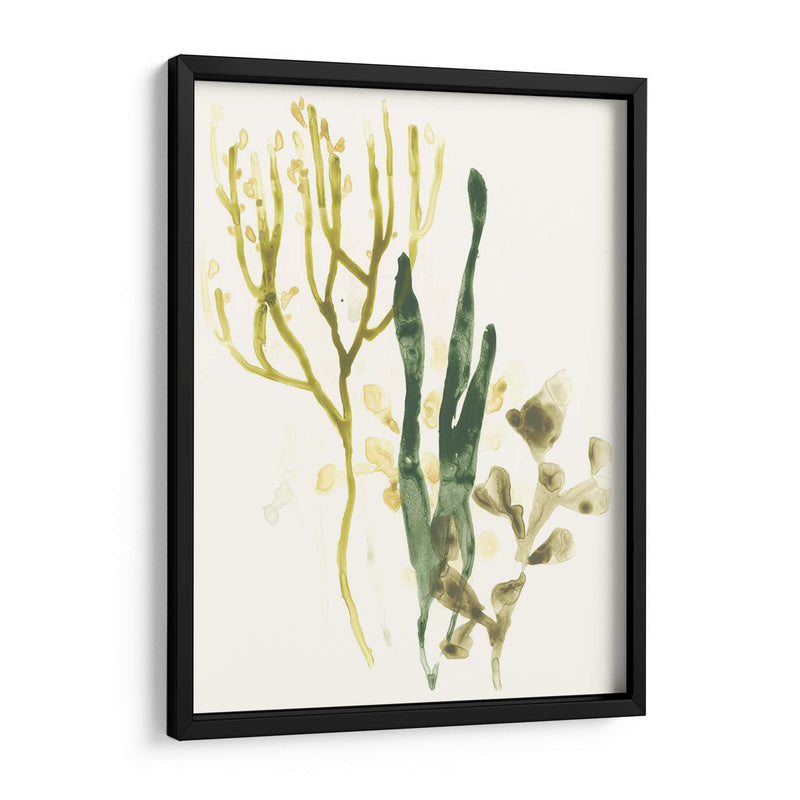 Colección Kelp V - June Erica Vess | Cuadro decorativo de Canvas Lab