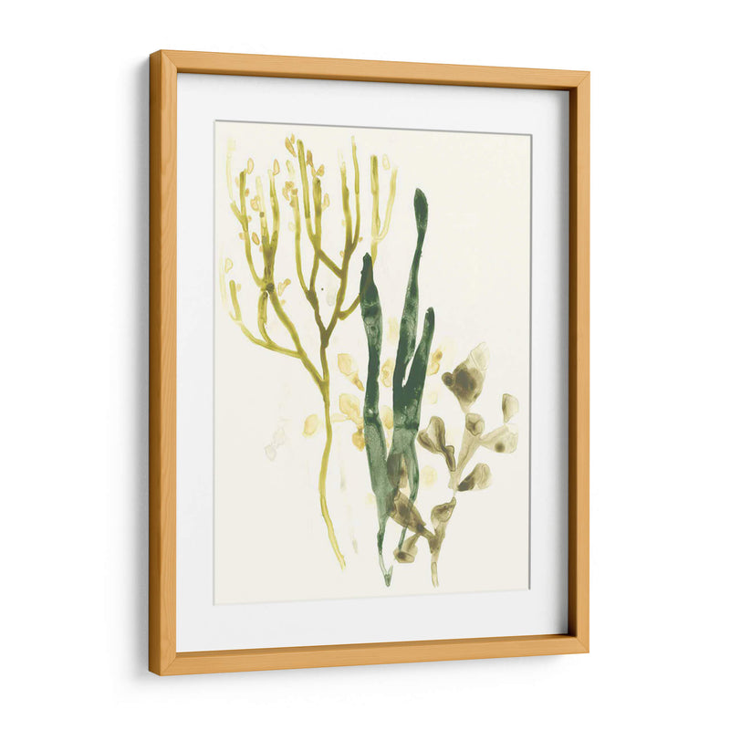 Colección Kelp V - June Erica Vess | Cuadro decorativo de Canvas Lab
