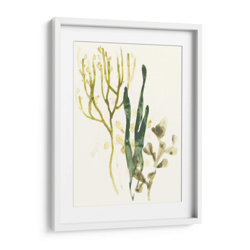 Colección Kelp V - June Erica Vess | Cuadro decorativo de Canvas Lab