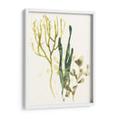 Colección Kelp V - June Erica Vess | Cuadro decorativo de Canvas Lab