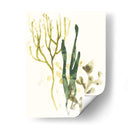 Colección Kelp V - June Erica Vess | Cuadro decorativo de Canvas Lab
