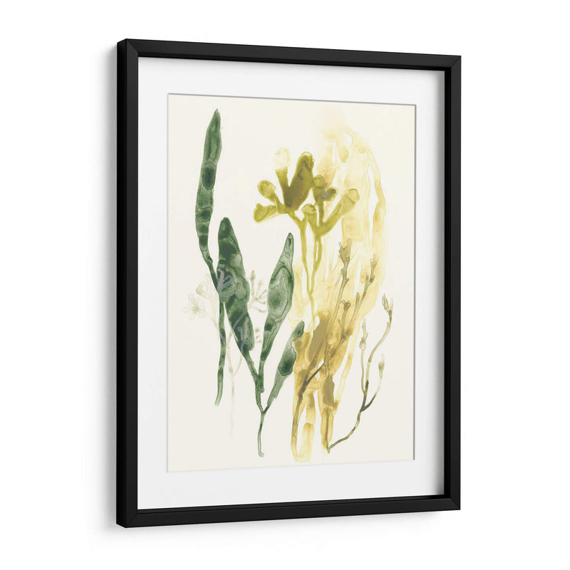 Colección Kelp Vi - June Erica Vess | Cuadro decorativo de Canvas Lab