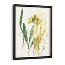 Colección Kelp Vi - June Erica Vess | Cuadro decorativo de Canvas Lab