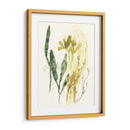 Colección Kelp Vi - June Erica Vess | Cuadro decorativo de Canvas Lab