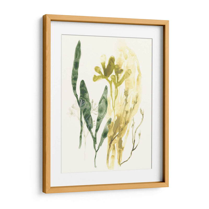 Colección Kelp Vi - June Erica Vess | Cuadro decorativo de Canvas Lab