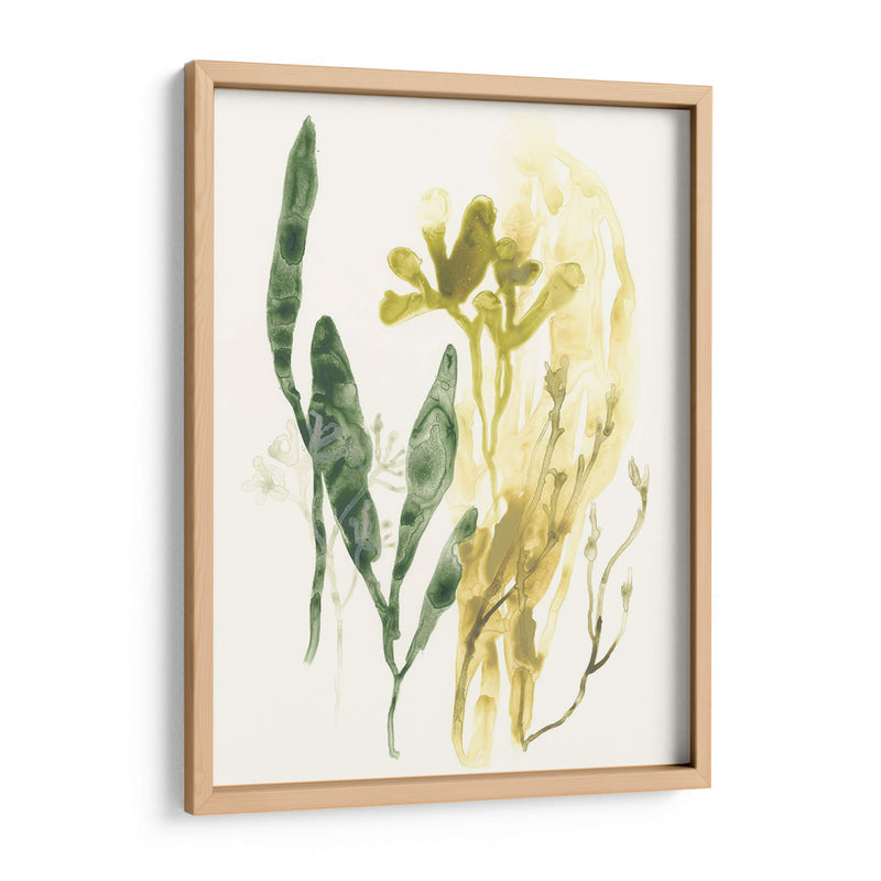 Colección Kelp Vi - June Erica Vess | Cuadro decorativo de Canvas Lab