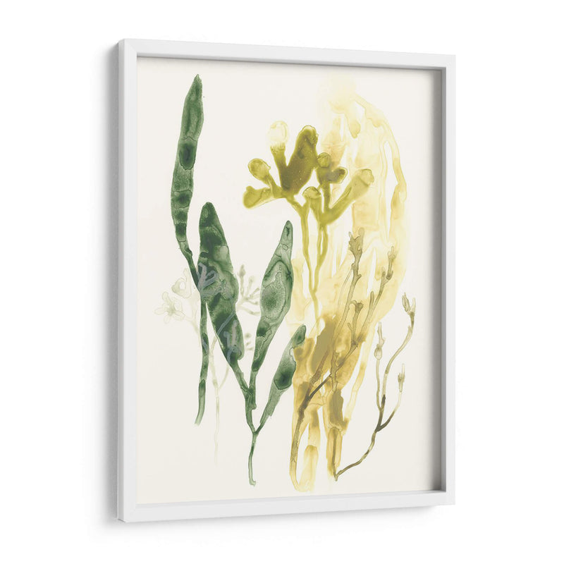 Colección Kelp Vi - June Erica Vess | Cuadro decorativo de Canvas Lab