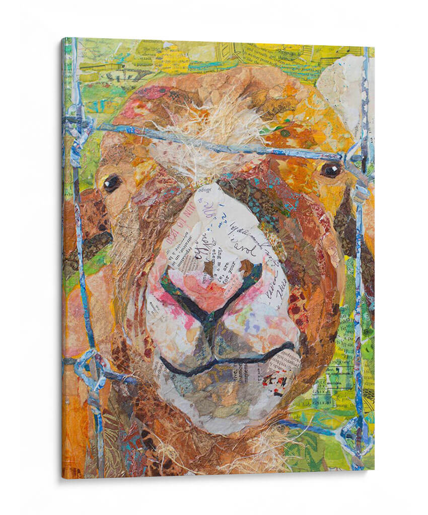 Cabra De Pokey - Elizabeth St. Hilaire | Cuadro decorativo de Canvas Lab
