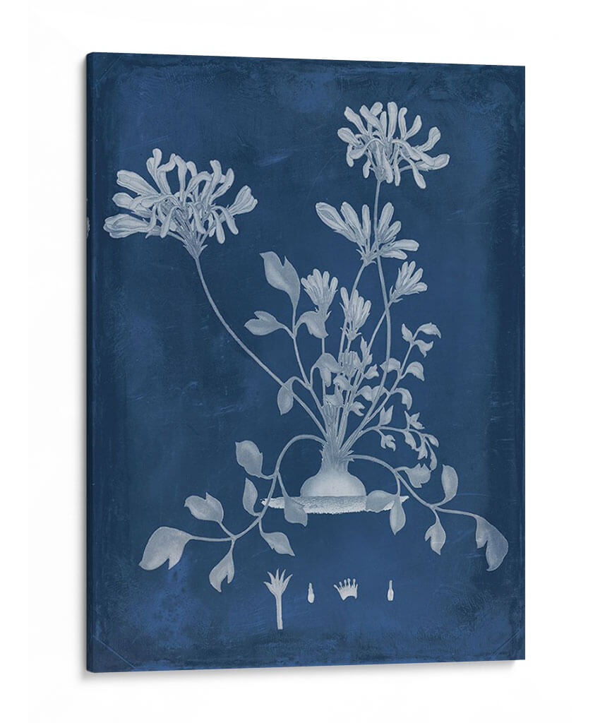 Botánico En Indigo Ii - Vision Studio | Cuadro decorativo de Canvas Lab