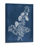 Botánico En Indigo Iv - Vision Studio | Cuadro decorativo de Canvas Lab