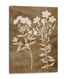 Botánico En Taupe I - Vision Studio | Cuadro decorativo de Canvas Lab