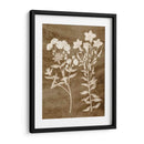 Botánico En Taupe I - Vision Studio | Cuadro decorativo de Canvas Lab