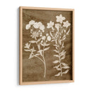 Botánico En Taupe I - Vision Studio | Cuadro decorativo de Canvas Lab