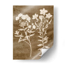 Botánico En Taupe I - Vision Studio | Cuadro decorativo de Canvas Lab
