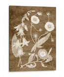 Botánico En Taupe Iii - Vision Studio | Cuadro decorativo de Canvas Lab