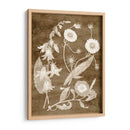 Botánico En Taupe Iii - Vision Studio | Cuadro decorativo de Canvas Lab