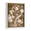 Botánico En Taupe Iii - Vision Studio | Cuadro decorativo de Canvas Lab