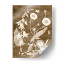 Botánico En Taupe Iii - Vision Studio | Cuadro decorativo de Canvas Lab