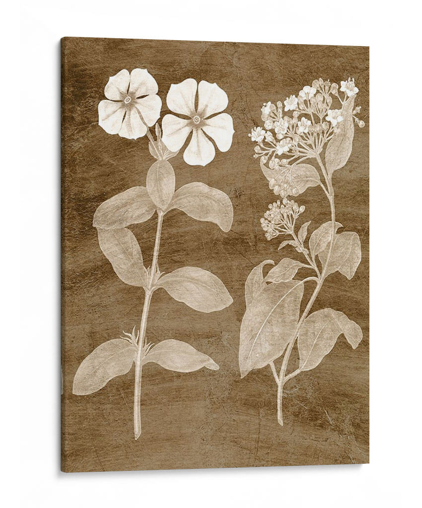 Botánico En Taupe Iv - Vision Studio | Cuadro decorativo de Canvas Lab