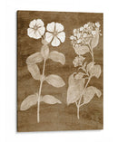 Botánico En Taupe Iv - Vision Studio | Cuadro decorativo de Canvas Lab