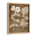 Botánico En Taupe Iv - Vision Studio | Cuadro decorativo de Canvas Lab