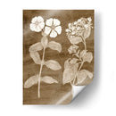 Botánico En Taupe Iv - Vision Studio | Cuadro decorativo de Canvas Lab